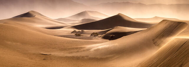 Sandstorm print