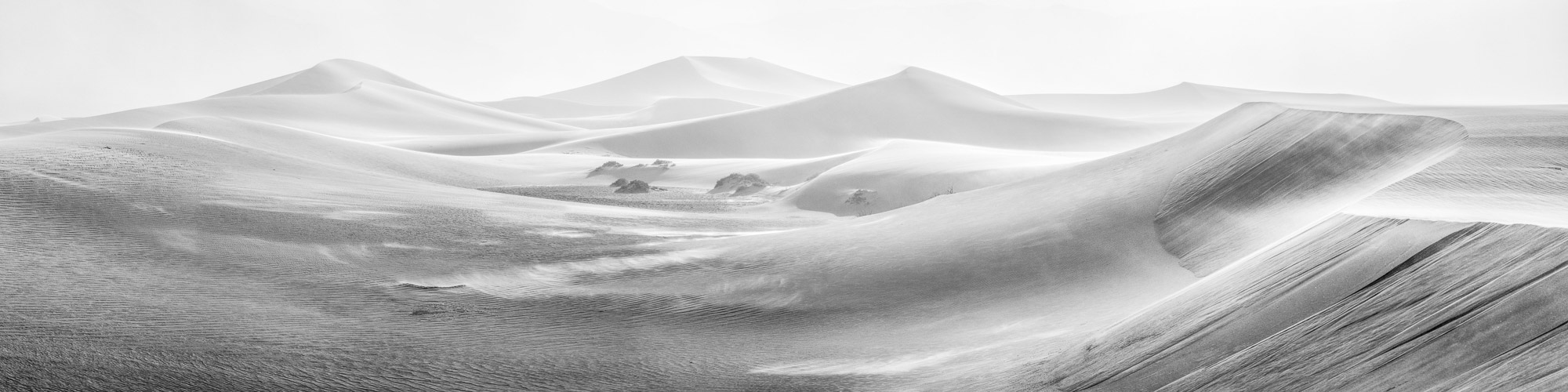 I have a passion for photographing sand dunes and have captured them in various locations around the world. However, I have never...